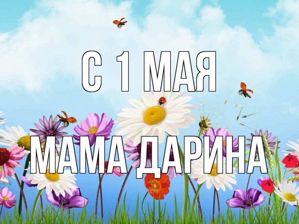 Открытка на каждый день с именем, Мама-Дарина С 1 мая С 1 мая Прикольная открытка с пожеланием онлайн скачать бесплатно 