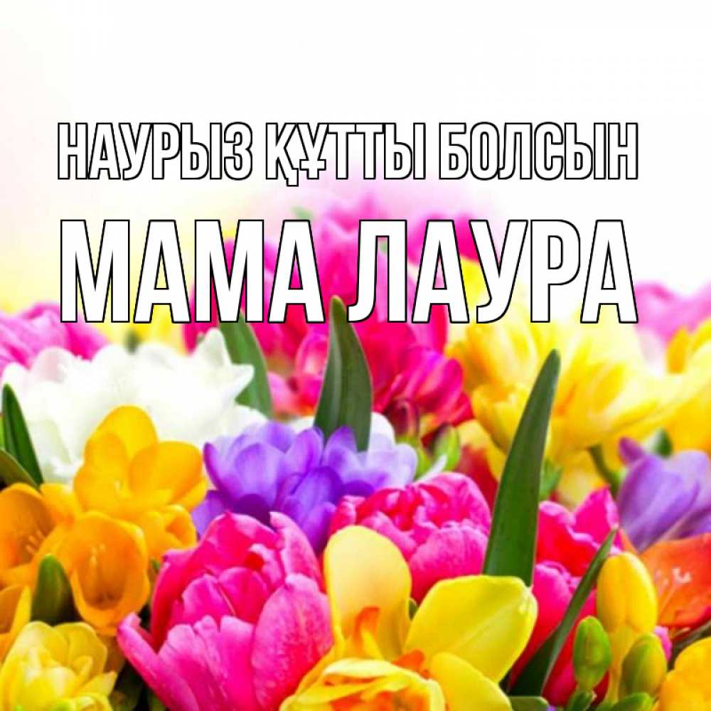 Открытка на каждый день с именем, Мама-Лаура Наурыз құтты болсын тюльпаны Прикольная открытка с пожеланием онлайн скачать бесплатно 