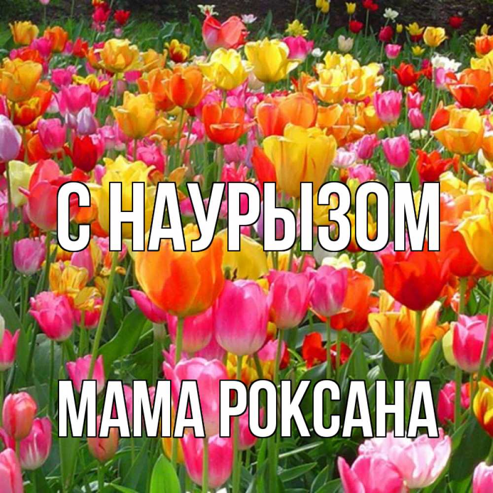 Открытка на каждый день с именем, Мама-Роксана С наурызом праздник весны наурыз 4 Прикольная открытка с пожеланием онлайн скачать бесплатно 