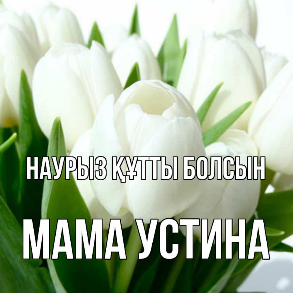 Открытка на каждый день с именем, Мама-Устина Наурыз құтты болсын цветы Прикольная открытка с пожеланием онлайн скачать бесплатно 
