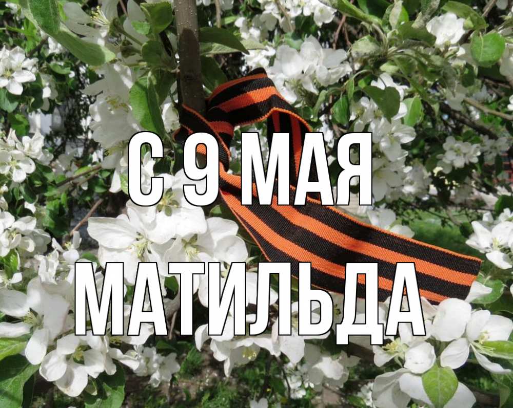 Открытка на каждый день с именем, Матильда С 9 мая 9 мая Прикольная открытка с пожеланием онлайн скачать бесплатно 