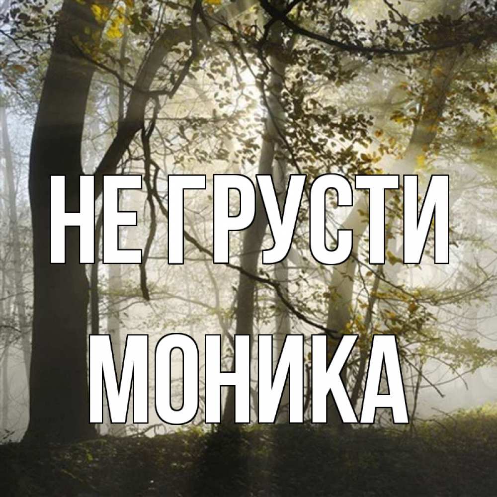 Открытка на каждый день с именем, Моника Не грусти лес и свет Прикольная открытка с пожеланием онлайн скачать бесплатно 