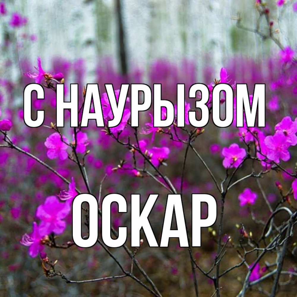 Открытка на каждый день с именем, Оскар С наурызом дикие цветы Прикольная открытка с пожеланием онлайн скачать бесплатно 