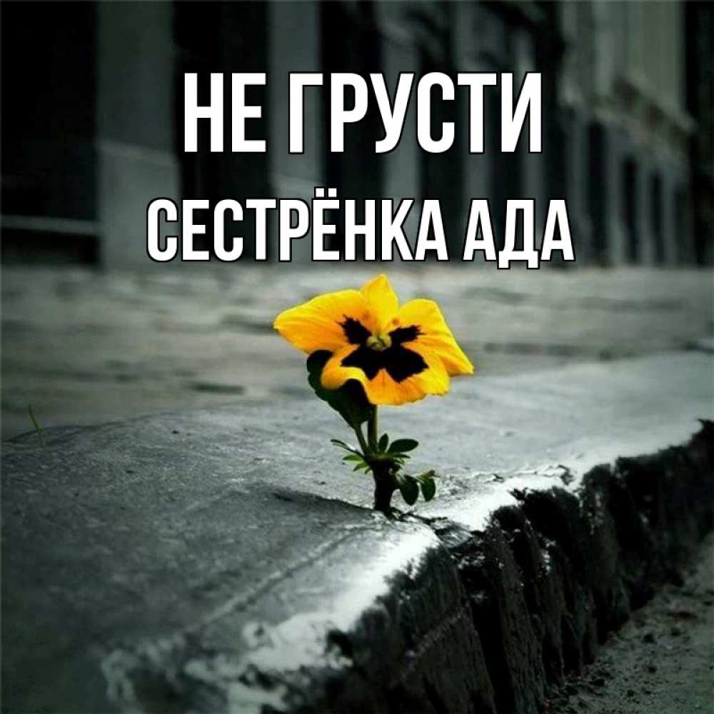 Открытка на каждый день с именем, Сестрёнка-Ада Не грусти не сдавайся Прикольная открытка с пожеланием онлайн скачать бесплатно 