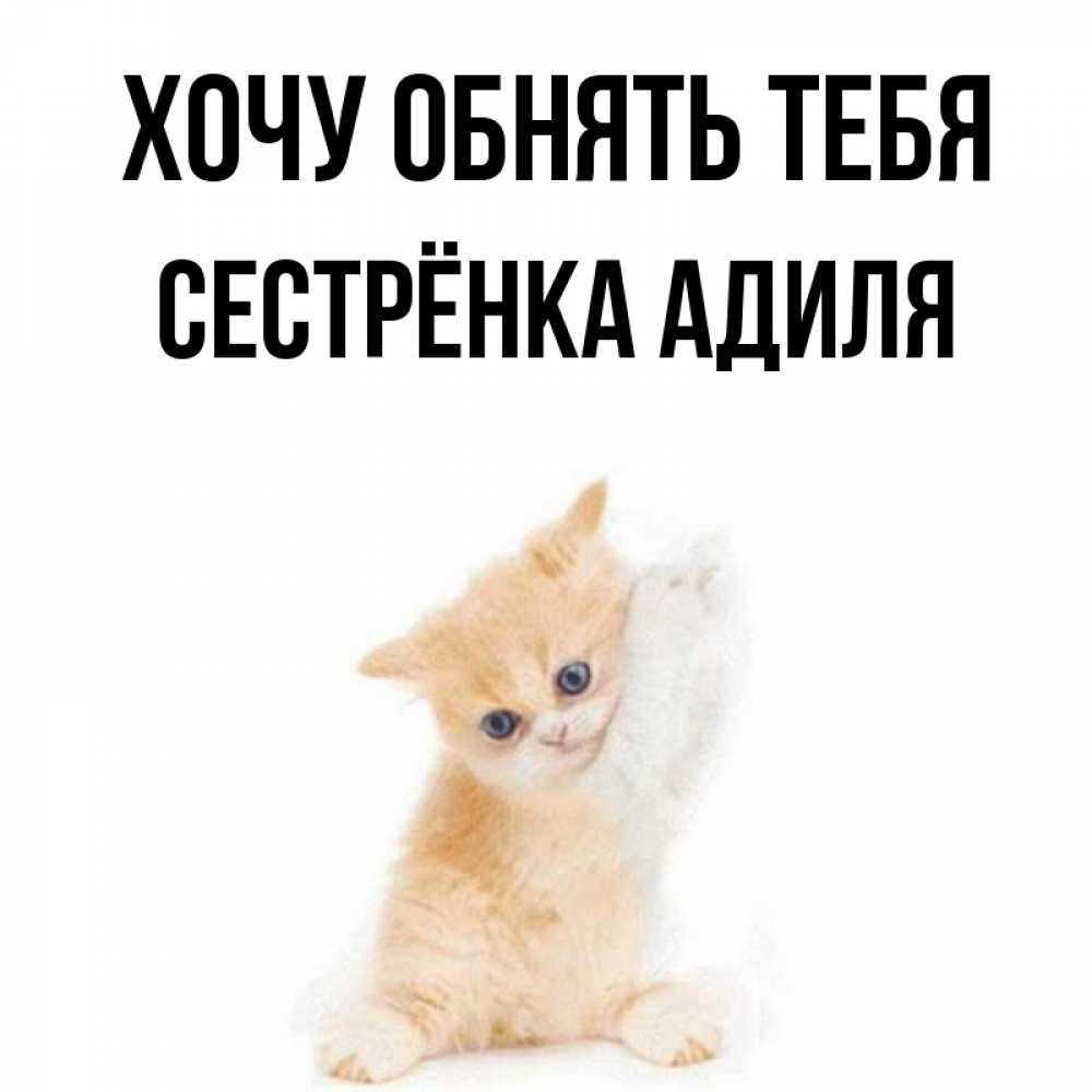 Открытка на каждый день с именем, Сестрёнка-Адиля Хочу обнять тебя я хочу очень скорее обнимаешек Прикольная открытка с пожеланием онлайн скачать бесплатно 