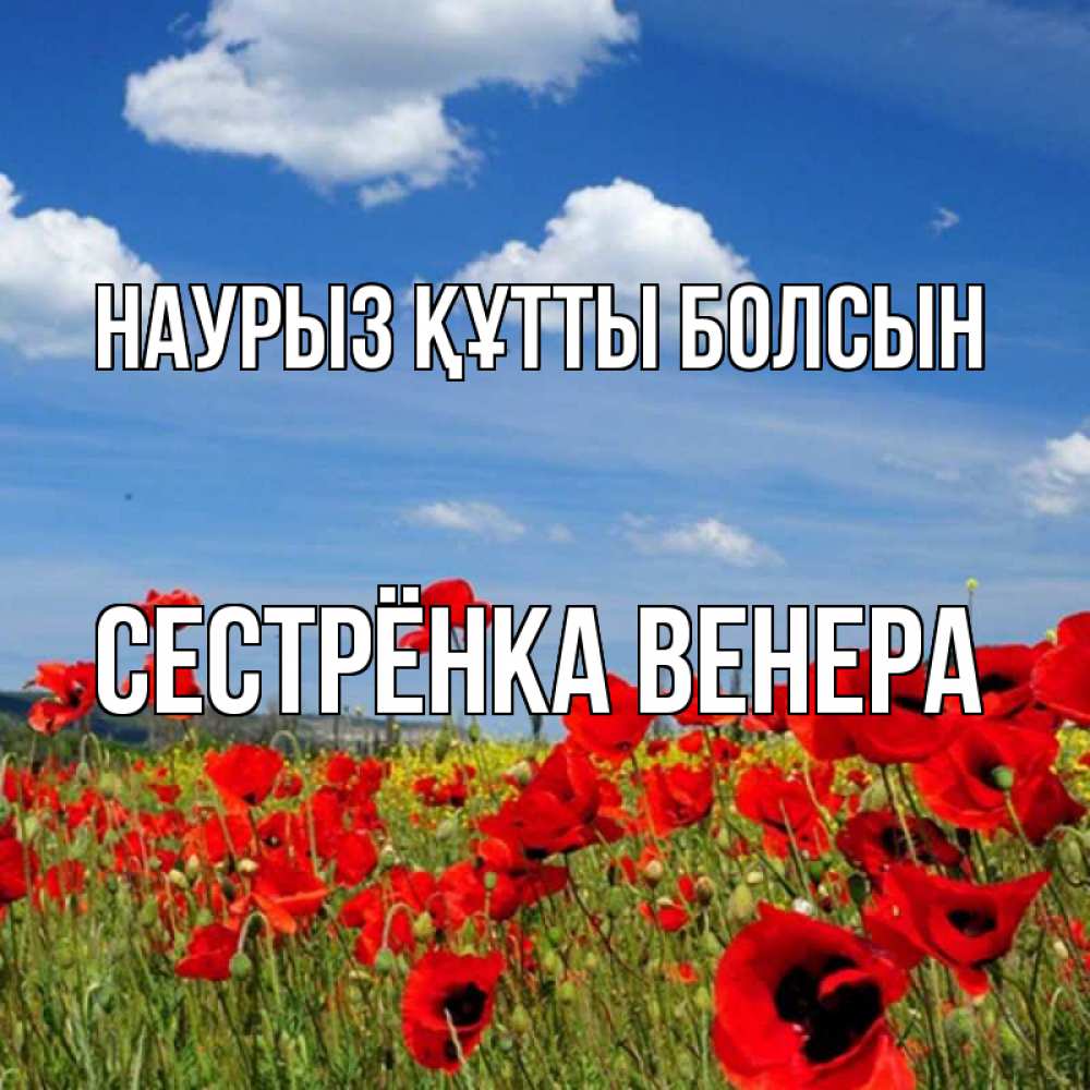 Открытка на каждый день с именем, Сестрёнка-Венера Наурыз құтты болсын наурыз  день 1 Прикольная открытка с пожеланием онлайн скачать бесплатно 