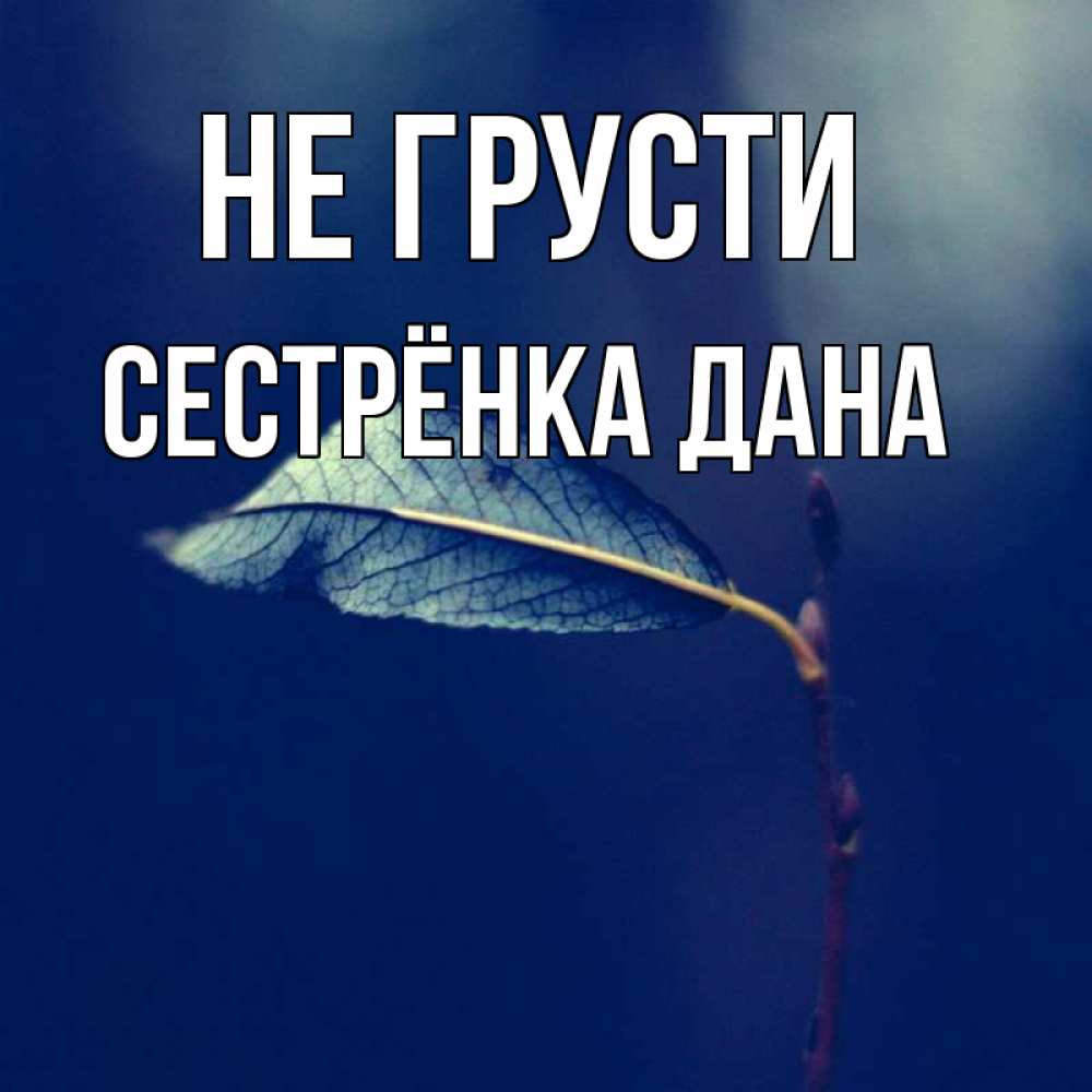 Открытка на каждый день с именем, Сестрёнка-Дана Не грусти растение Прикольная открытка с пожеланием онлайн скачать бесплатно 