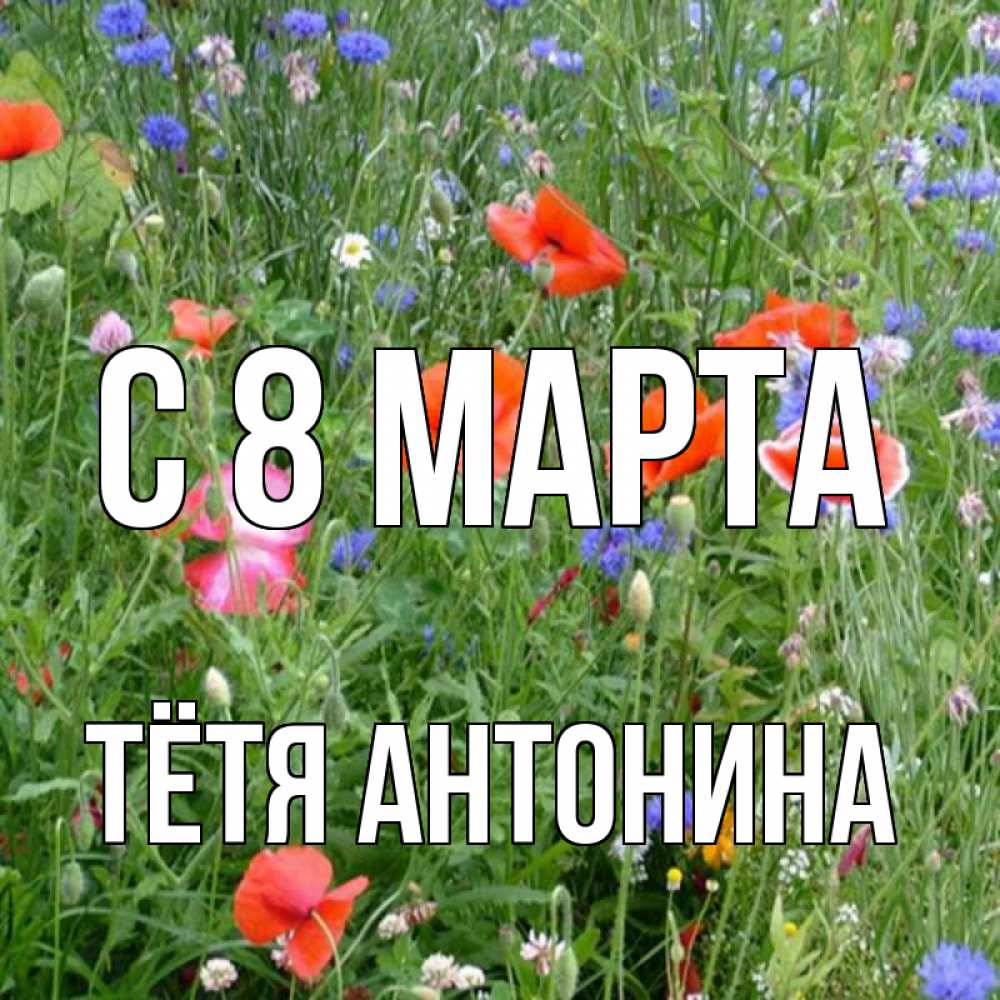 Открытка на каждый день с именем, Тётя-Антонина С 8 МАРТА международный женский день 4 Прикольная открытка с пожеланием онлайн скачать бесплатно 