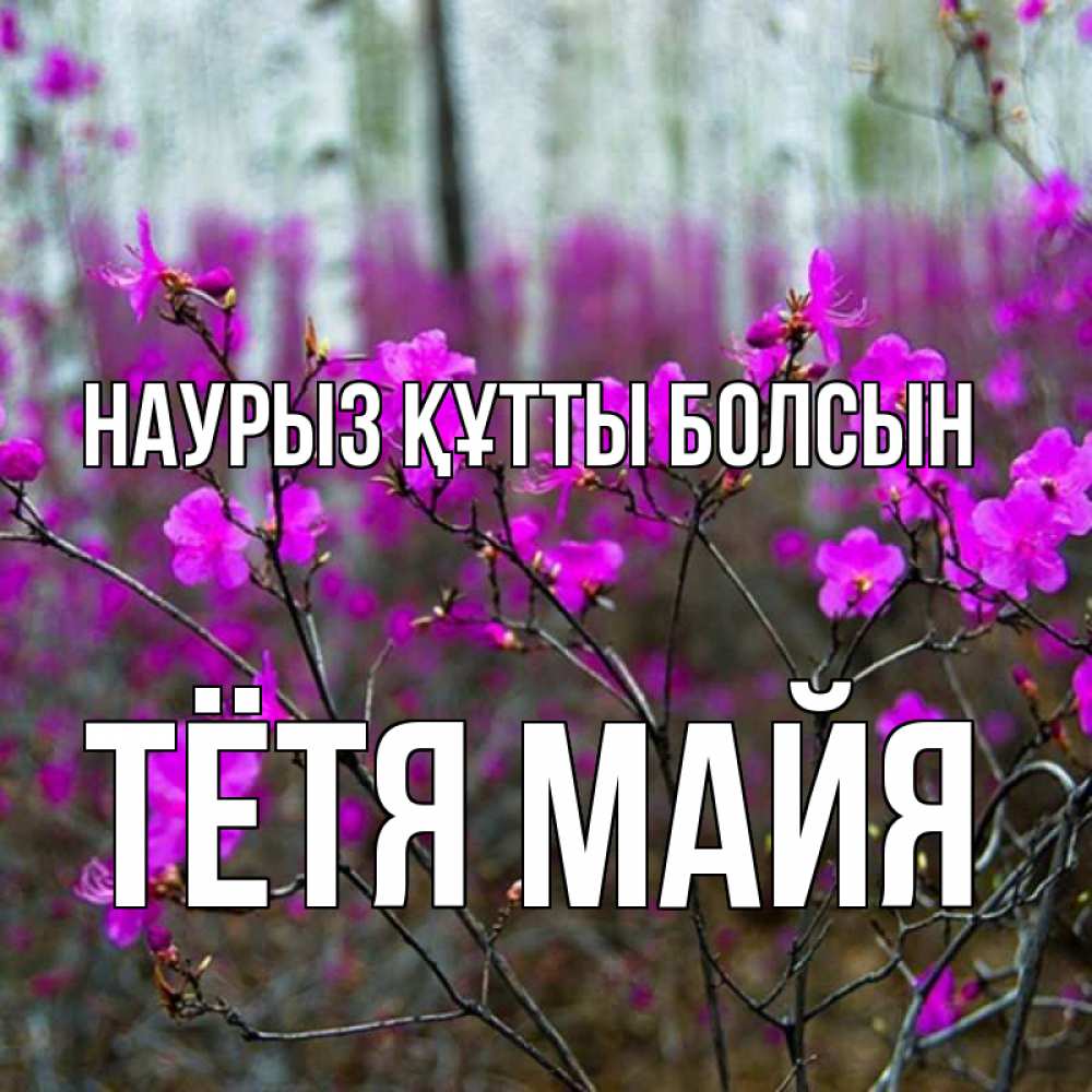 Открытка на каждый день с именем, Тётя-Майя Наурыз құтты болсын дикие цветы Прикольная открытка с пожеланием онлайн скачать бесплатно 