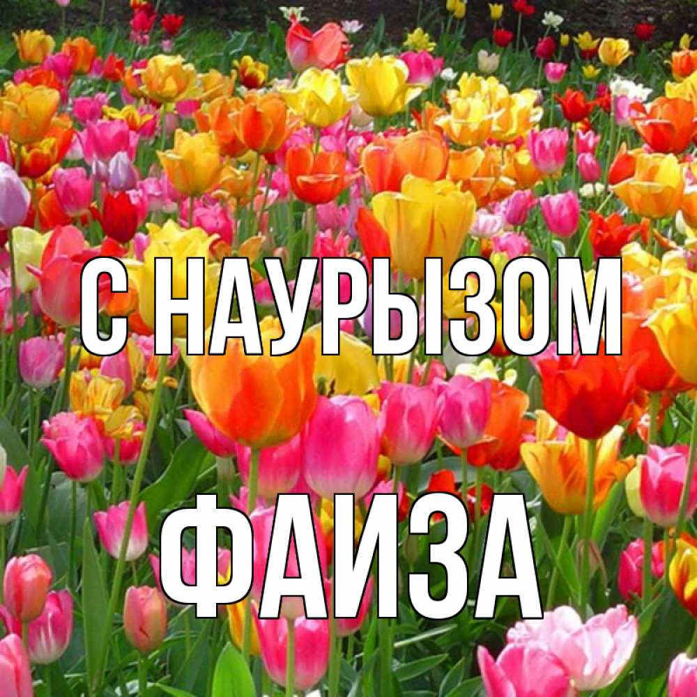 Открытка на каждый день с именем, Фаиза С наурызом праздник весны наурыз 4 Прикольная открытка с пожеланием онлайн скачать бесплатно 