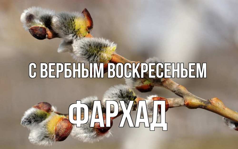 Открытка на каждый день с именем, Фархад С вербным воскресеньем Верба Прикольная открытка с пожеланием онлайн скачать бесплатно 