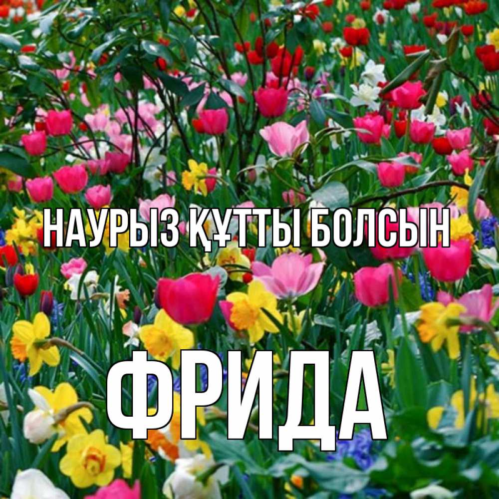 Открытка на каждый день с именем, Фрида Наурыз құтты болсын с наурызом поздравления для женщины Прикольная открытка с пожеланием онлайн скачать бесплатно 