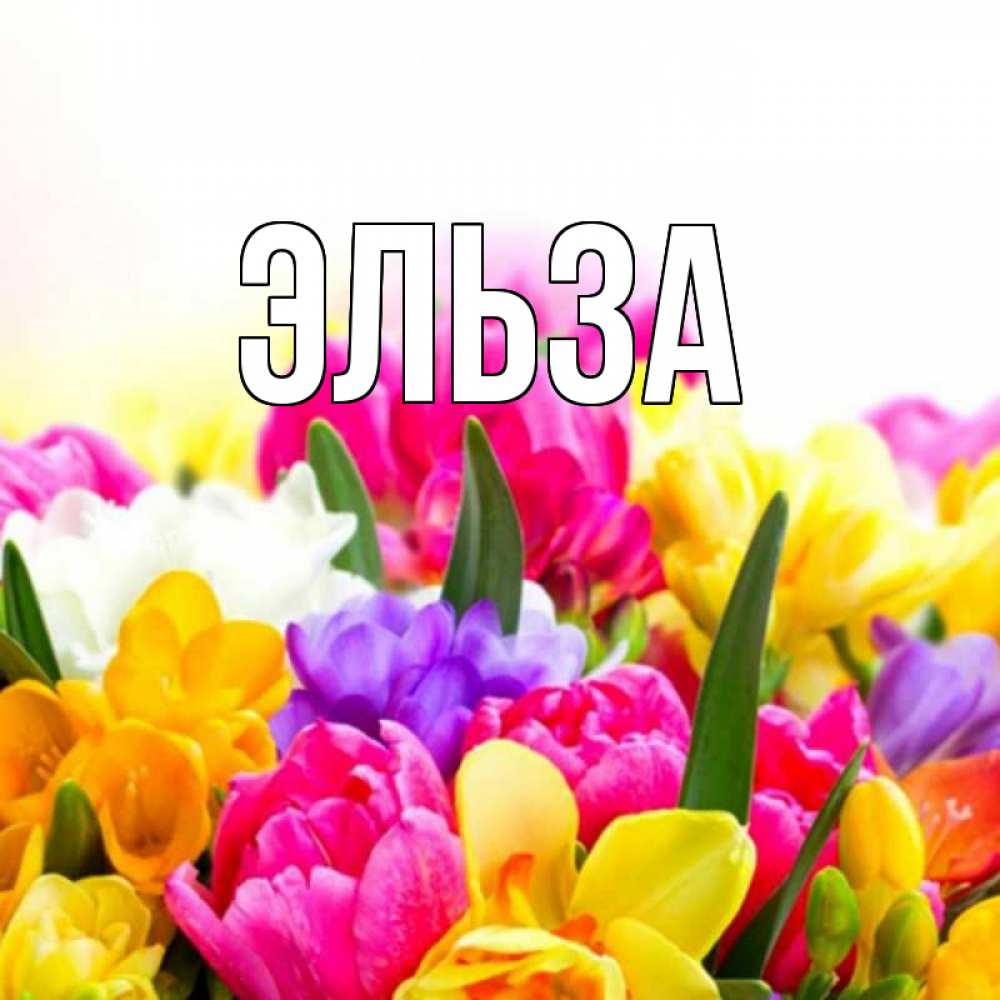 Открытка на каждый день с именем, Эльза Главная тюльпаны Прикольная открытка с пожеланием онлайн скачать бесплатно 