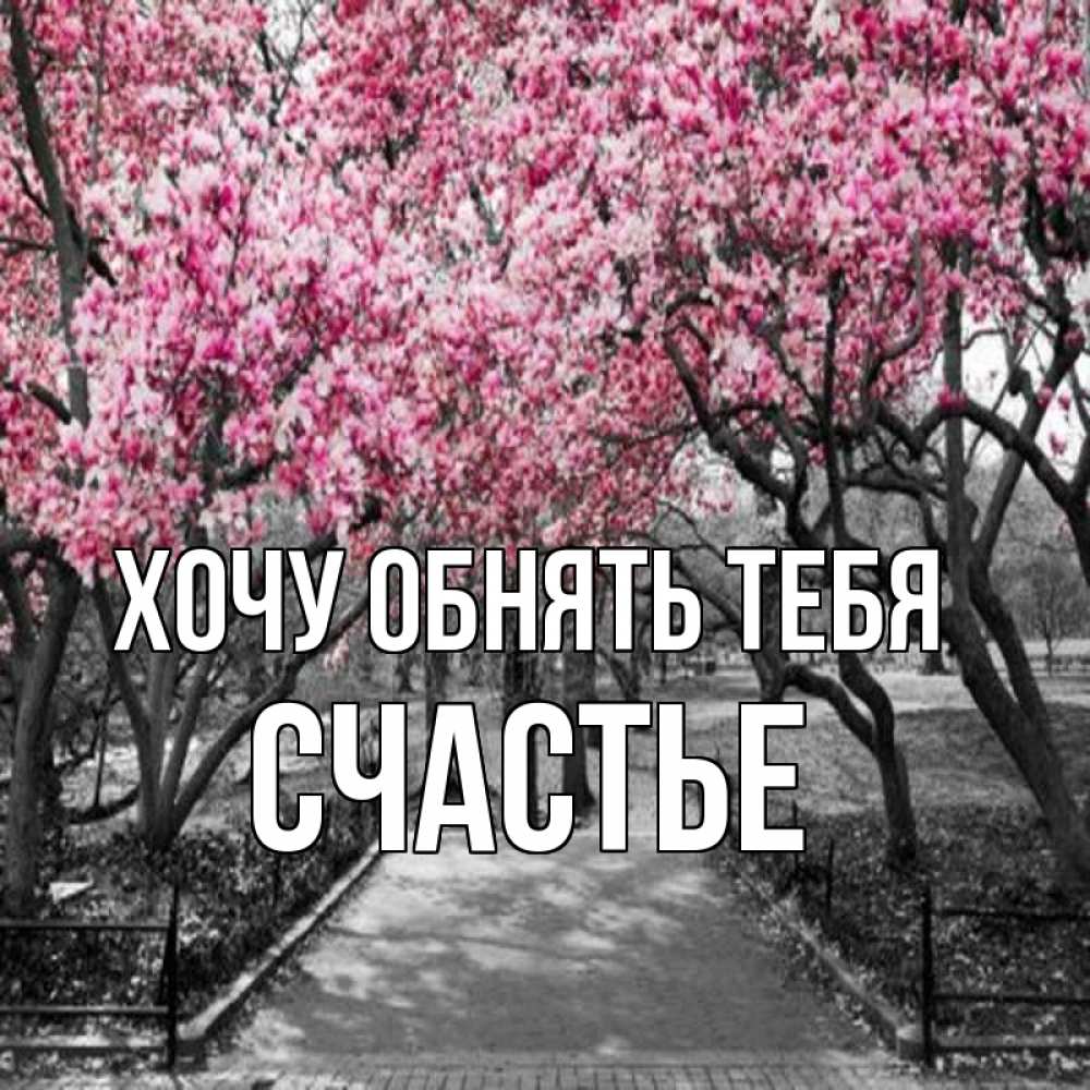 Открытка на каждый день с именем, СЧАСТЬЕ Хочу обнять тебя обработанное фото Прикольная открытка с пожеланием онлайн скачать бесплатно 