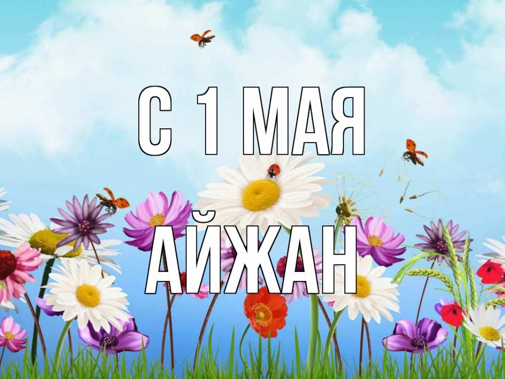 Открытка на каждый день с именем, Айжан С 1 мая С 1 мая Прикольная открытка с пожеланием онлайн скачать бесплатно 