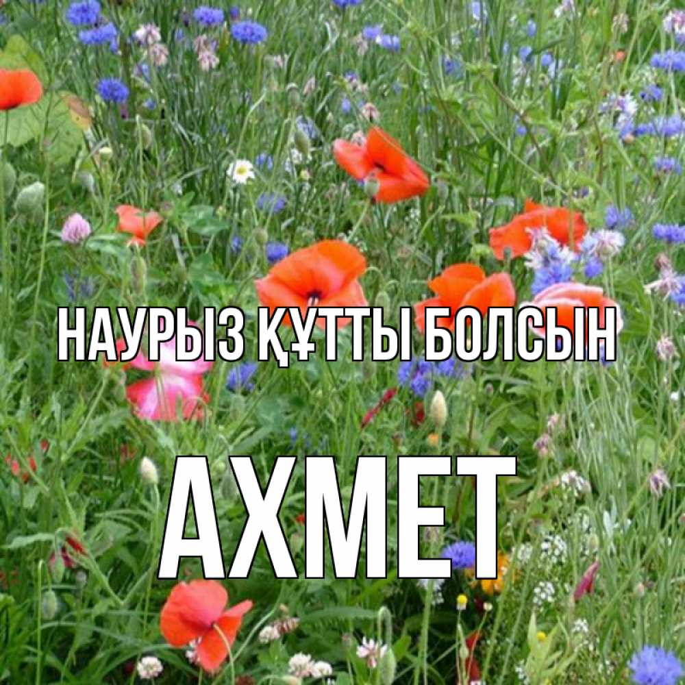 Открытка на каждый день с именем, Ахмет Наурыз құтты болсын наурыз  4 Прикольная открытка с пожеланием онлайн скачать бесплатно 