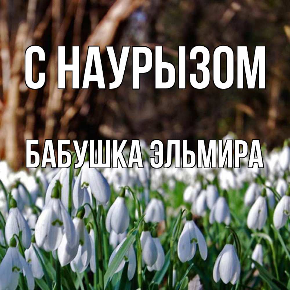 Открытка на каждый день с именем, Бабушка-Эльмира С наурызом с подснежниками 1 Прикольная открытка с пожеланием онлайн скачать бесплатно 