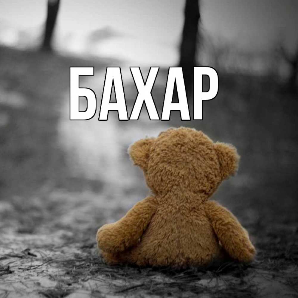 Картинка  с именем , Бахар