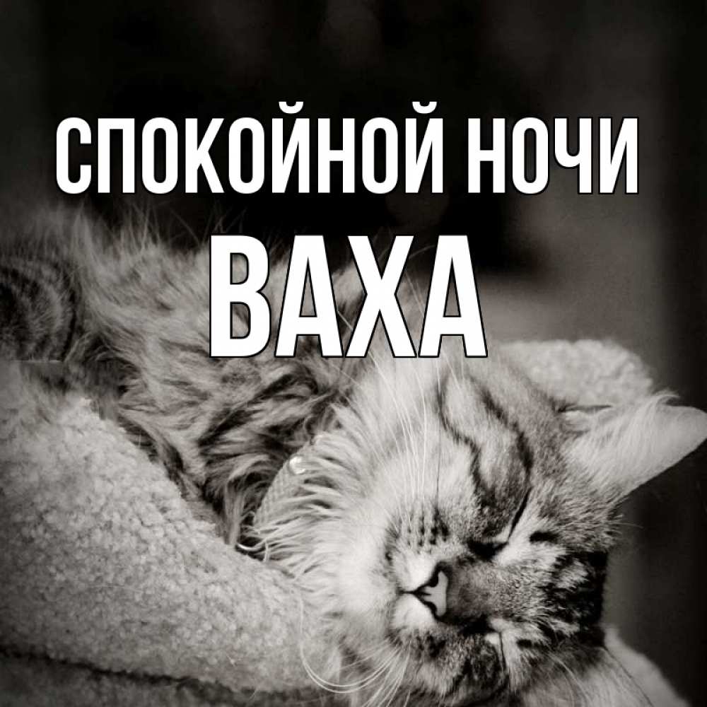 Нина Спокойной Ночи