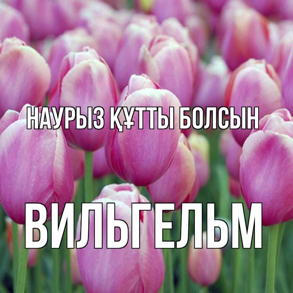 Открытка на каждый день с именем, Вильгельм Наурыз құтты болсын на наурыз  день 3 Прикольная открытка с пожеланием онлайн скачать бесплатно 