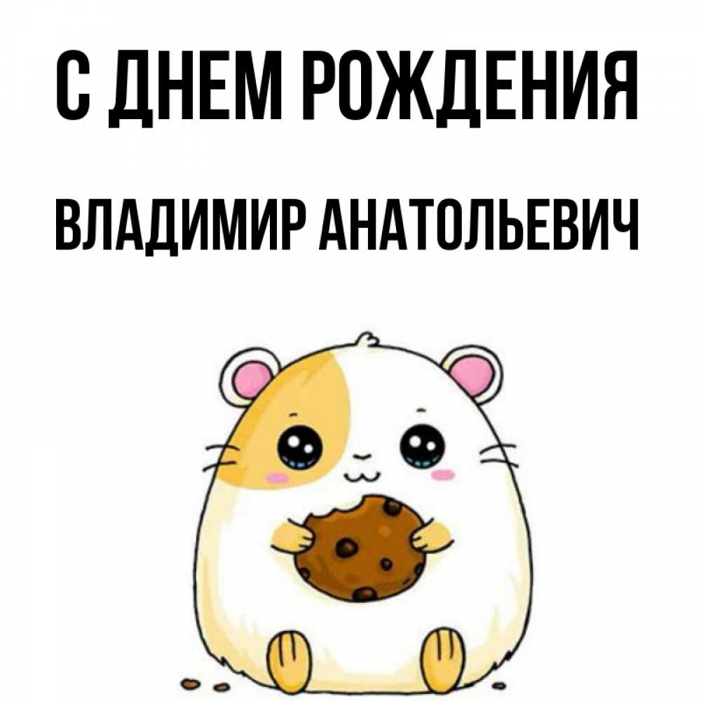 Открытка на каждый день с именем, Владимир-Анатольевич С днем рождения с днюхой Прикольная открытка с пожеланием онлайн скачать бесплатно 