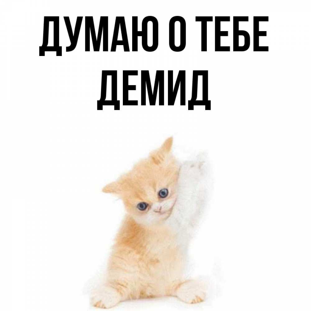 Открытка на каждый день с именем, Демид Думаю о тебе зверушки и милота Прикольная открытка с пожеланием онлайн скачать бесплатно 