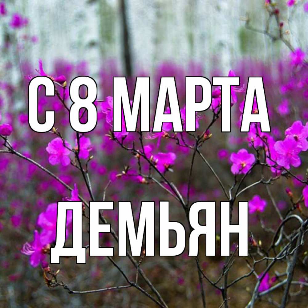 Открытка на каждый день с именем, Демьян С 8 МАРТА дикие цветы Прикольная открытка с пожеланием онлайн скачать бесплатно 