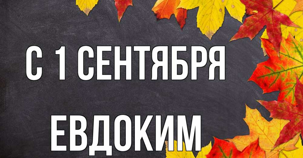 Открытка на каждый день с именем, Евдоким С 1 сентября с днем знаний Прикольная открытка с пожеланием онлайн скачать бесплатно 
