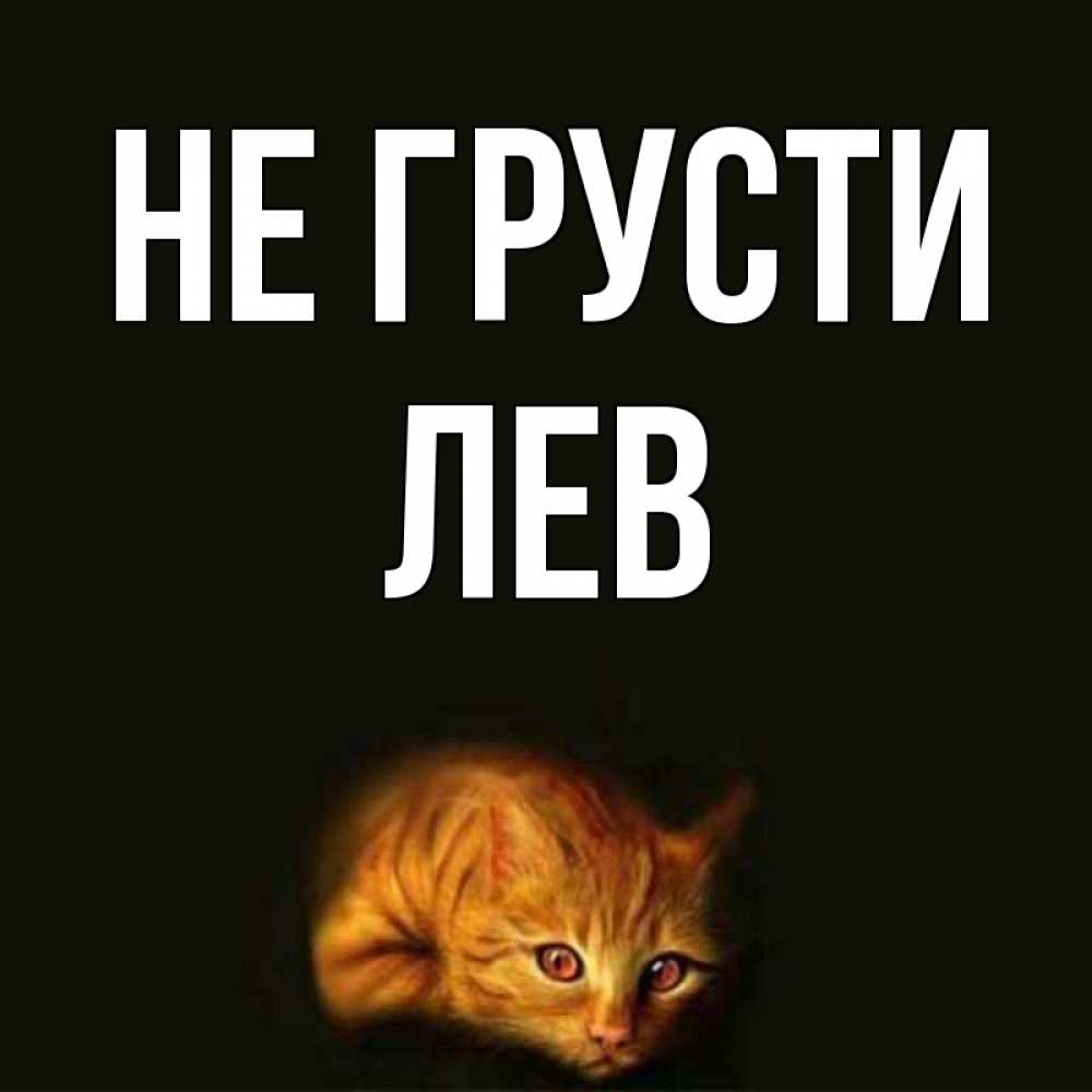 Открытка на каждый день с именем, Лев Не грусти лежащий кот в темноте Прикольная открытка с пожеланием онлайн скачать бесплатно 