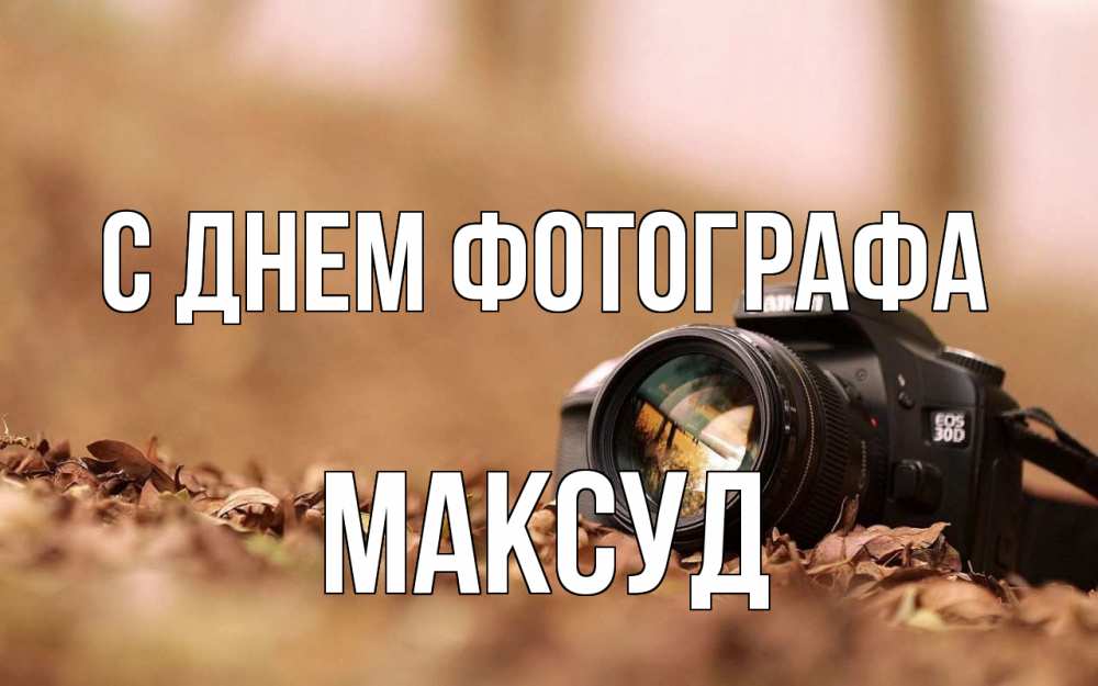 Открытка на каждый день с именем, Максуд С днем фотографа с днем фотографа Прикольная открытка с пожеланием онлайн скачать бесплатно 