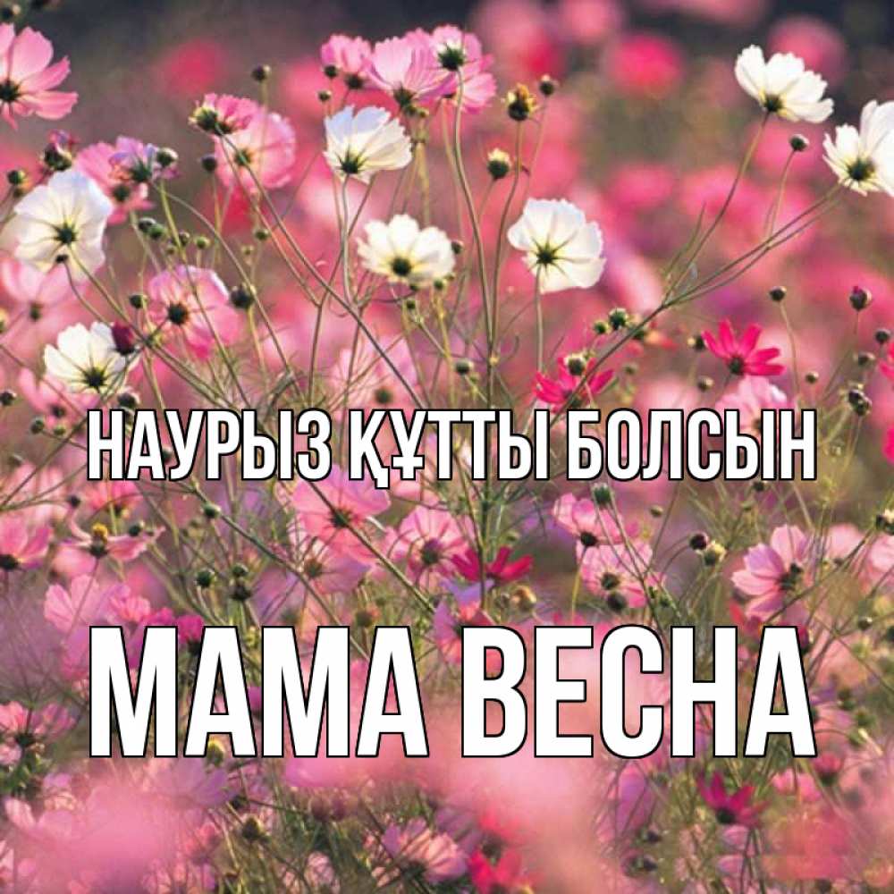 Открытка на каждый день с именем, Мама-Весна Наурыз құтты болсын красиво 1 Прикольная открытка с пожеланием онлайн скачать бесплатно 