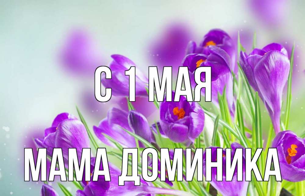 Открытка на каждый день с именем, Мама-Доминика С 1 мая 1 мая Прикольная открытка с пожеланием онлайн скачать бесплатно 