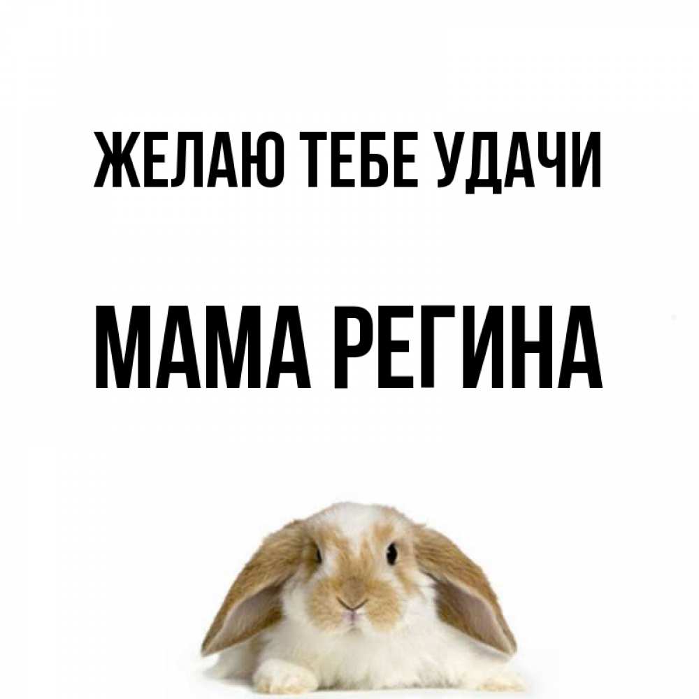 Открытка на каждый день с именем, Мама-Регина Желаю тебе удачи открытки с произвольным текстом который можно вставить в открытку и создать ее самостоятельно бесплатно онлайн Прикольная открытка с пожеланием онлайн скачать бесплатно 
