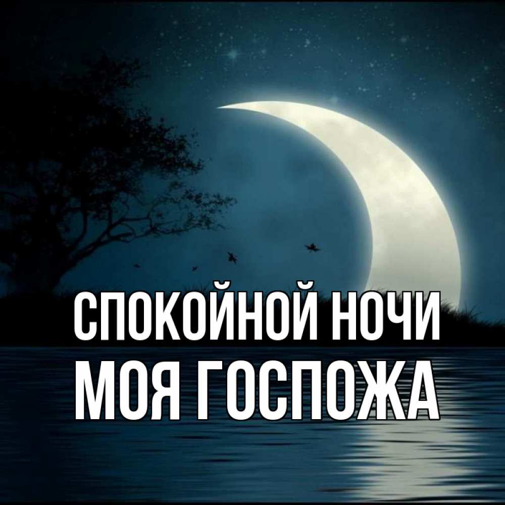 Открытка на каждый день с именем, Моя-Госпожа Спокойной ночи вода Прикольная открытка с пожеланием онлайн скачать бесплатно 