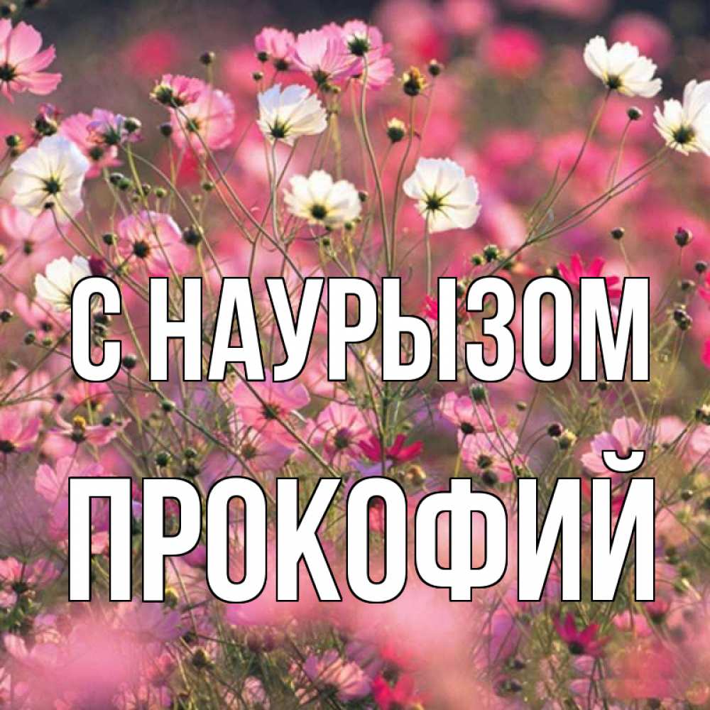Открытка на каждый день с именем, Прокофий С наурызом красиво 1 Прикольная открытка с пожеланием онлайн скачать бесплатно 
