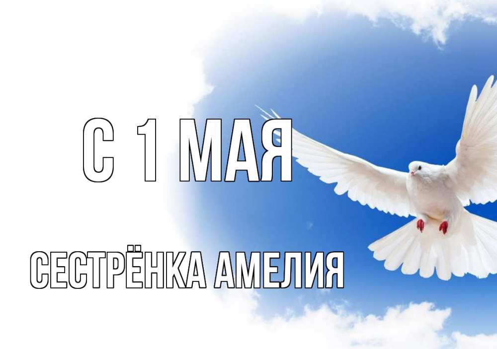 Открытка на каждый день с именем, Сестрёнка-Амелия С 1 мая С 1 мая Прикольная открытка с пожеланием онлайн скачать бесплатно 