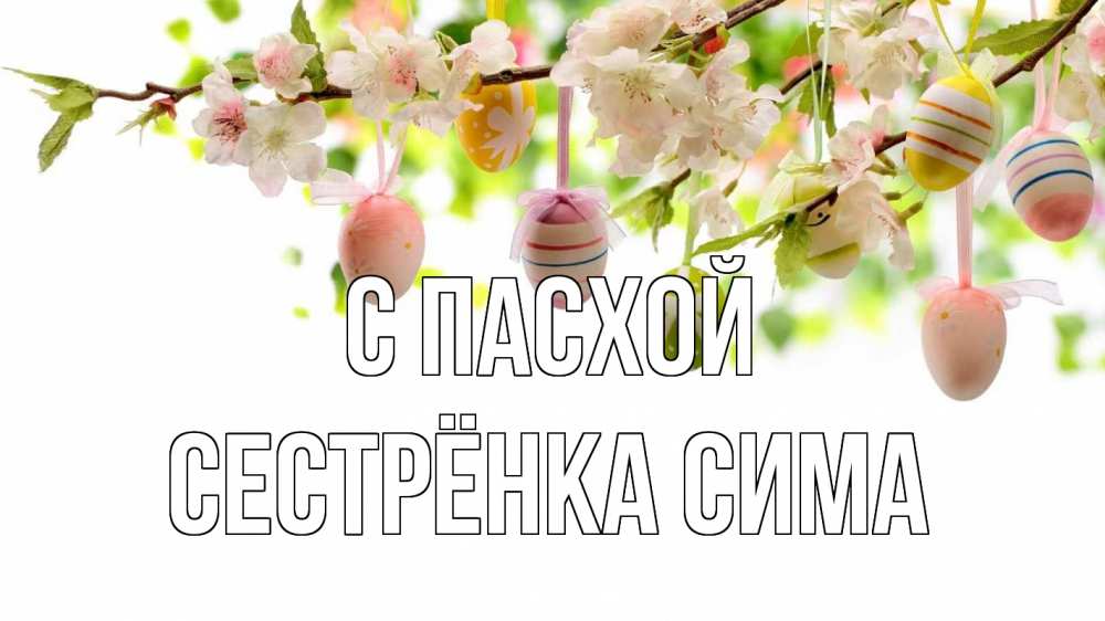 Открытка на каждый день с именем, Сестрёнка-Сима С пасхой пасха Прикольная открытка с пожеланием онлайн скачать бесплатно 