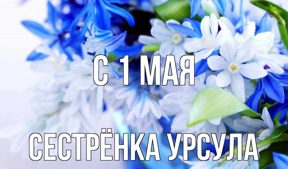 Открытка на каждый день с именем, Сестрёнка-Урсула С 1 мая С 1 мая Прикольная открытка с пожеланием онлайн скачать бесплатно 