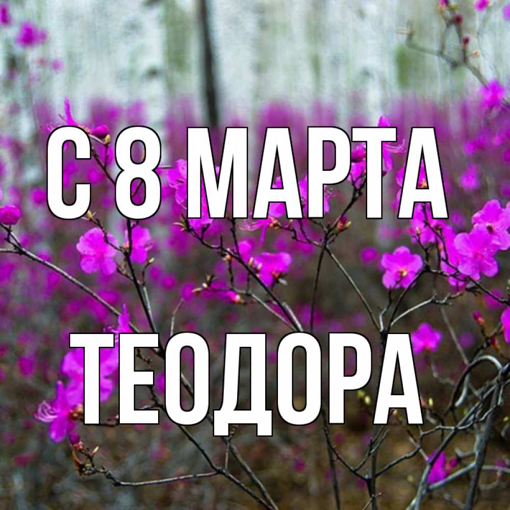 Открытка на каждый день с именем, Теодора С 8 марта дикие цветы Прикольная открытка с пожеланием онлайн скачать бесплатно 