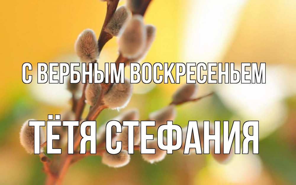 Открытка на каждый день с именем, Тётя-Стефания С вербным воскресеньем верба Прикольная открытка с пожеланием онлайн скачать бесплатно 