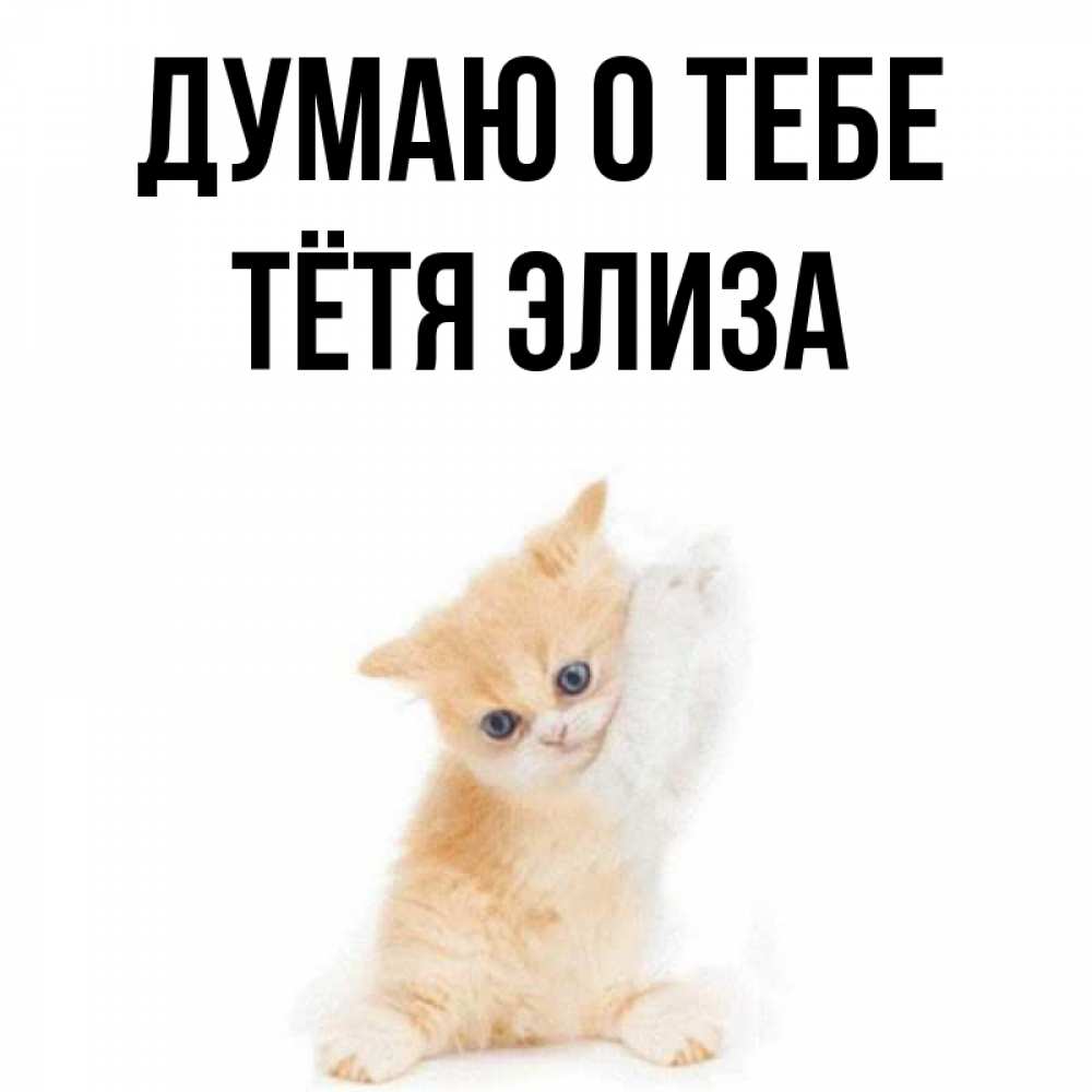 Открытка на каждый день с именем, Тётя-Элиза Думаю о тебе зверушки и милота Прикольная открытка с пожеланием онлайн скачать бесплатно 
