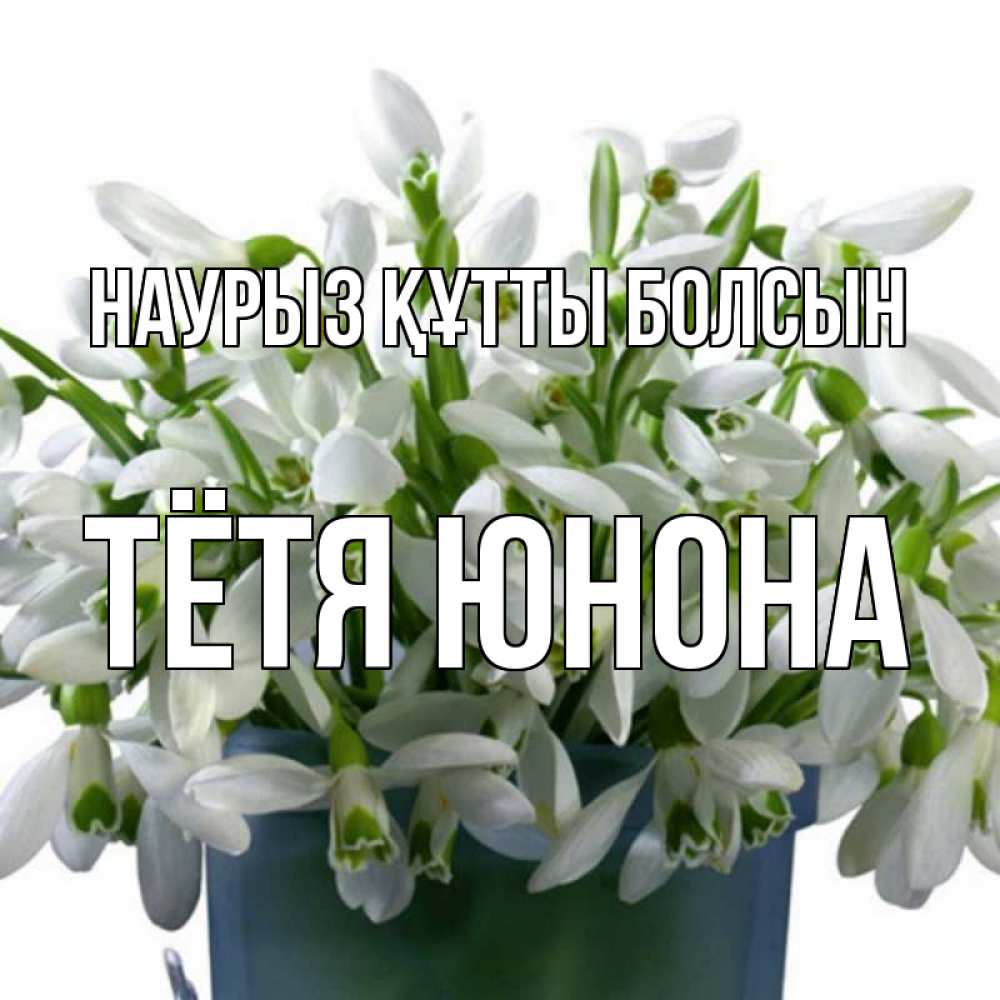 Открытка на каждый день с именем, Тётя-Юнона Наурыз құтты болсын цветы к наурызу Прикольная открытка с пожеланием онлайн скачать бесплатно 