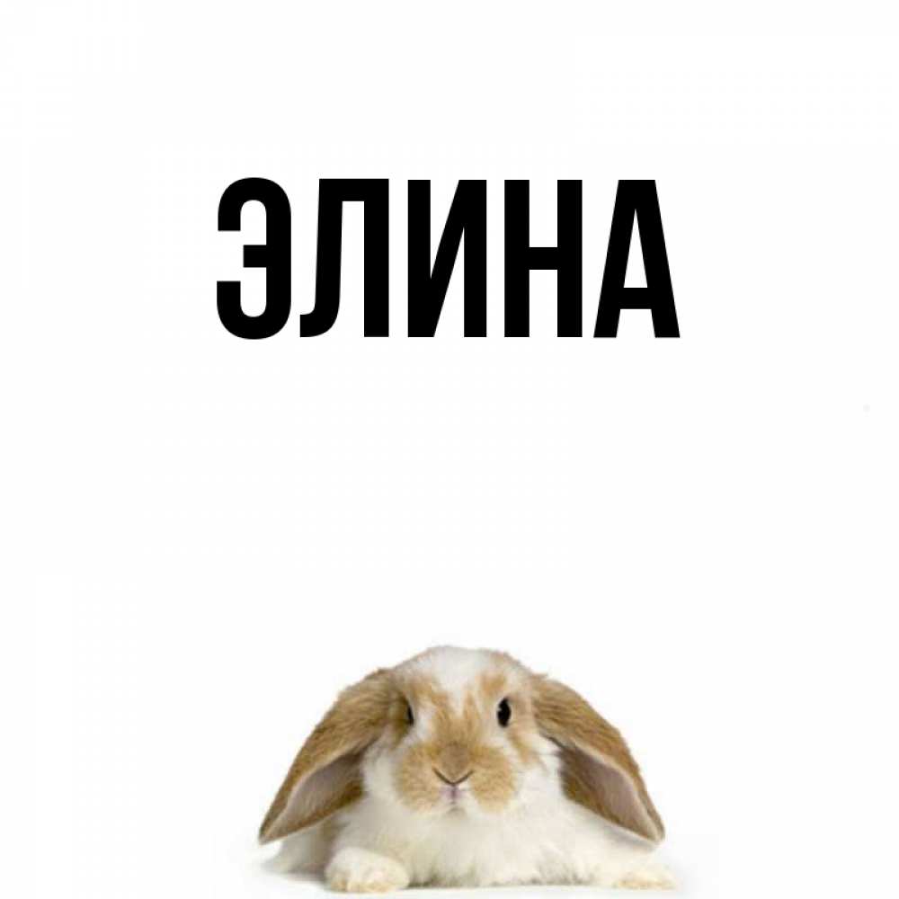 Открытка на каждый день с именем, Элина Главная открытки с произвольным текстом который можно вставить в открытку и создать ее самостоятельно бесплатно онлайн Прикольная открытка с пожеланием онлайн скачать бесплатно 