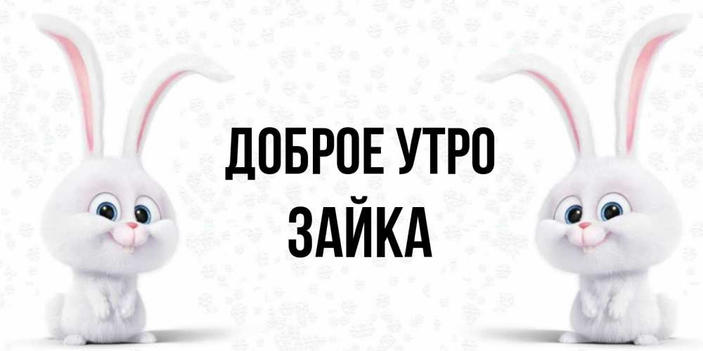 Открытка на каждый день с именем, зайка Доброе утро кролики с длинными ушками Прикольная открытка с пожеланием онлайн скачать бесплатно 