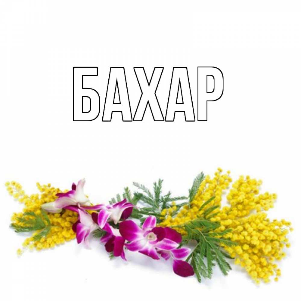 Открытка на каждый день с именем, Бахар Главная открытка на международный женский день с цветами  1 Прикольная открытка с пожеланием онлайн скачать бесплатно 