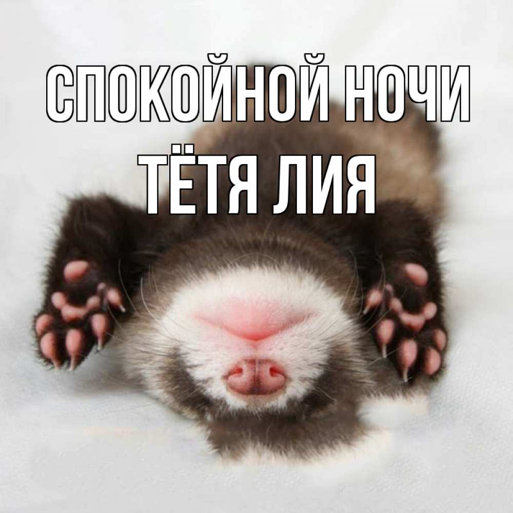 Открытка на каждый день с именем, Тётя-Лия Спокойной ночи зверек Прикольная открытка с пожеланием онлайн скачать бесплатно 