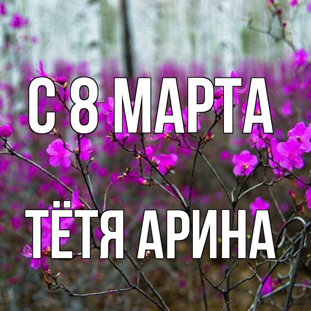 Открытка на каждый день с именем, Тётя-Арина С 8 марта дикие цветы Прикольная открытка с пожеланием онлайн скачать бесплатно 