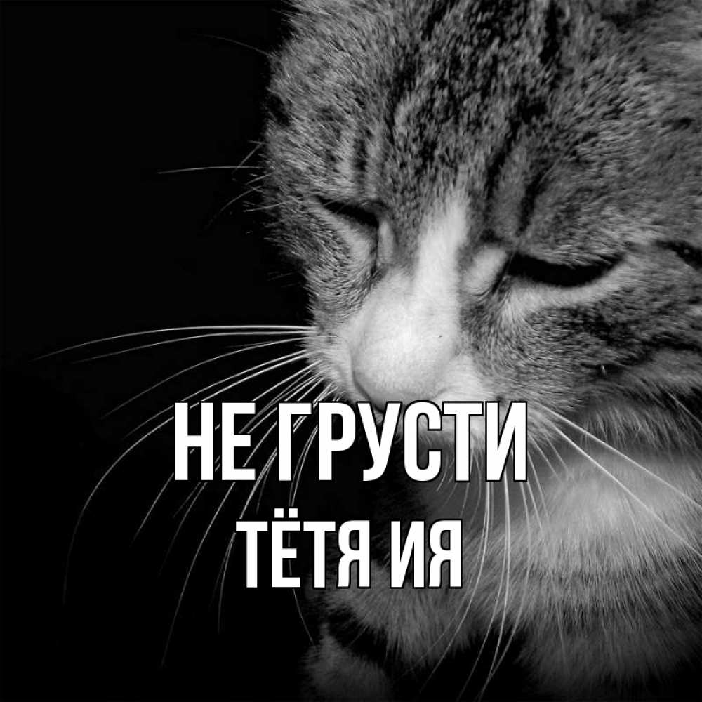 Открытка на каждый день с именем, Тётя-Ия Не грусти грустный котик Прикольная открытка с пожеланием онлайн скачать бесплатно 
