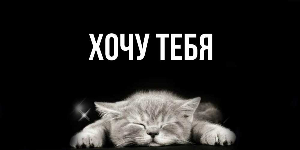 Открытка на каждый день с именем, Хочу-тебя Главная спящий котик Прикольная открытка с пожеланием онлайн скачать бесплатно 