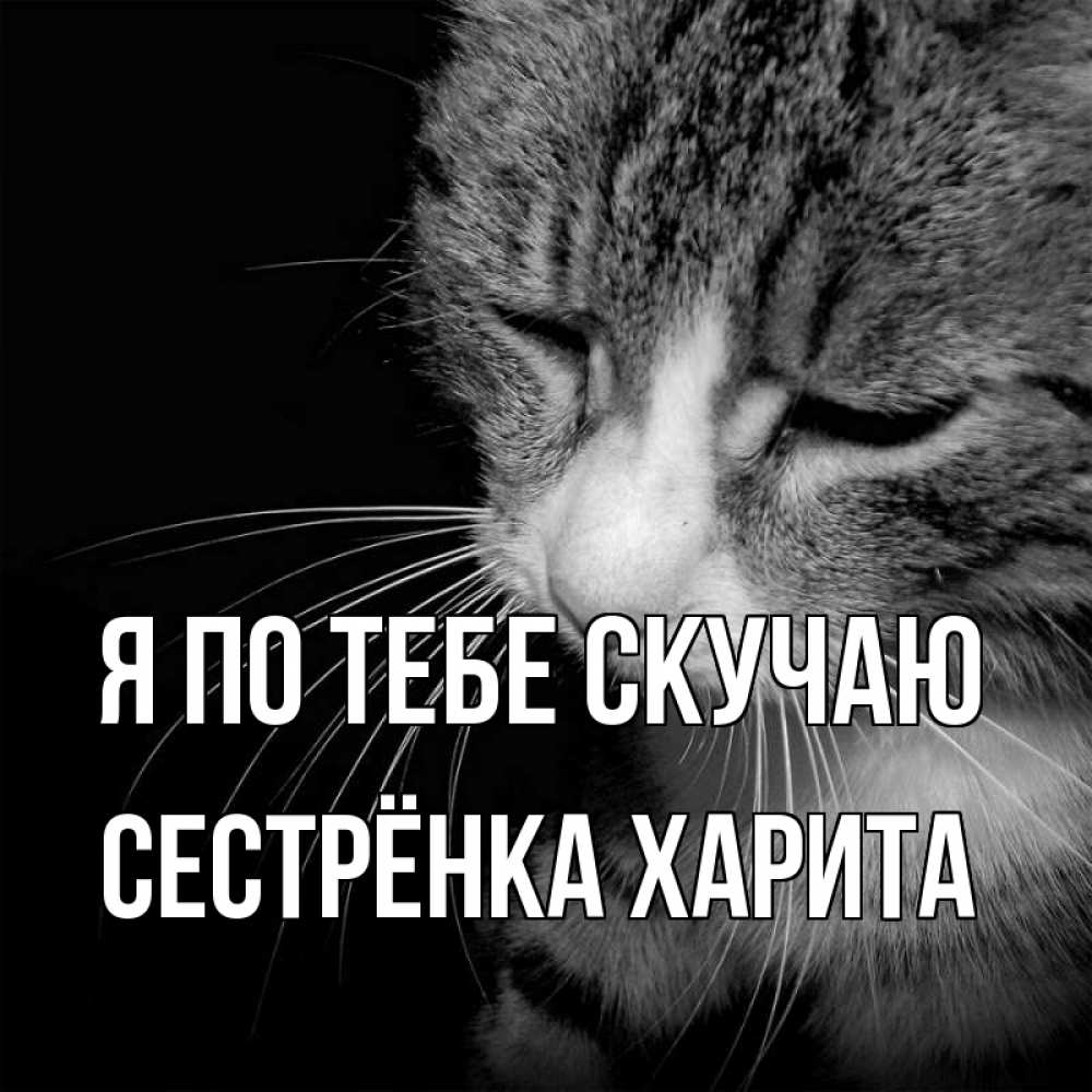 Открытка на каждый день с именем, Сестрёнка-Харита Я по тебе скучаю мне скучно Прикольная открытка с пожеланием онлайн скачать бесплатно 